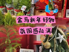 -盒马鲜生(宝地店)