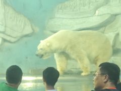 -泉城欧乐堡海洋极地世界