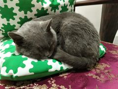 -月栖华明-云间草堂清茶馆(泗泾古镇店)