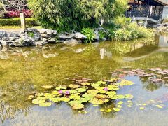 -顺峰山公园