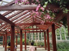 -石家庄市植物园