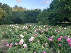 -长春公园(普阳街道)