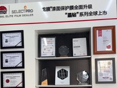 -龙膜全球臻选店·汽车贴膜·隐形车衣