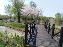 -梁鸿国家湿地公园