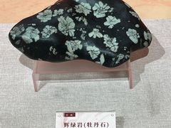-安徽省地质博物馆