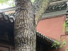 -钱王祠