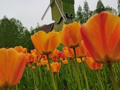 -石家庄市植物园