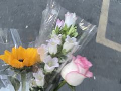 -循礼门鲜花花市(武汉循礼门店)