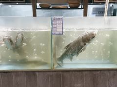 -丹江渔村(首都机场店)