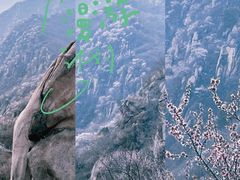 -北京凤凰岭