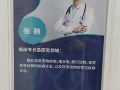 -北京观赏动物医院·24小时大型综合·猫专科·异宠专科