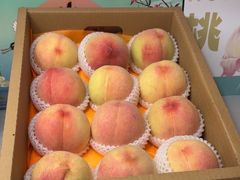 -老袁家蜜桃农场·阳山水蜜桃