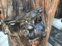 -峡谷浮石林景区