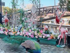 -J Create城市露营咖啡·简餐·宠物(上海动物园店)