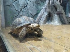 -石家庄市动物园