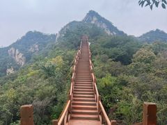-大岭沟猕猴桃谷风景区