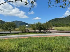 -大九湖