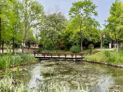 -梁鸿国家湿地公园