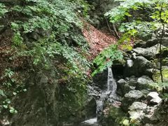 -本溪汤沟绿石谷森林公园