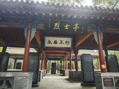 -大槐树寻根祭祖园