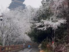 -杭州半山国家森林公园