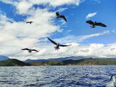 -丽江泸沽湖景区