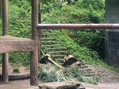 -碧峰峡风景区