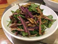 拌蕨菜-九十九顶毡房(阜石路店)
