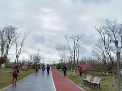 -上海长兴岛郊野公园