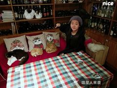 -more than meow吴止猫主题餐厅(承德 中船汇店)