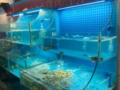 -挂旗柴锅鸡(蚌山区嘉年华店)