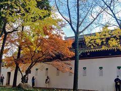 -西园戒幢律寺