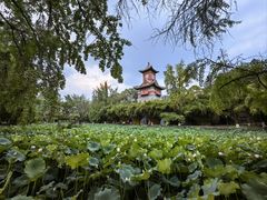 -四川大学(华西校区)