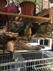 店内环境-日月刺青工作室·高端纹身