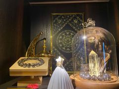 -雪灵魔法世界SHELLY’S TAROT(大良桂畔里店)