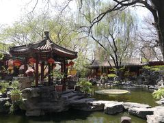 -白家大院·王府宫廷菜(苏州街店)