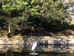 -水前寺成趣园