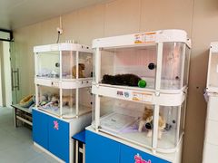 -翊宠yipet猫狗购宠庄园犬舍•猫舍