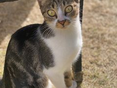 -大可堂普洱茶馆(襄阳南路馆)