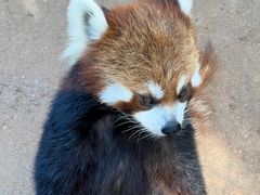 -云南野生动物园