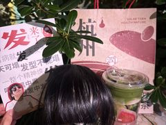 -炖物24章·顺时轻养茶(杭州大厦店)