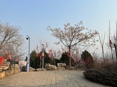 -南翠屏公园