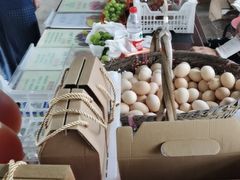 -马陆小张葡萄园农家乐