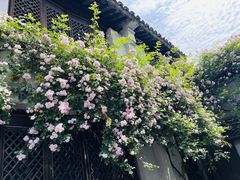 -惠山古镇·寄畅园