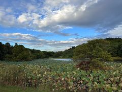 -福建鲤鱼洲酒店