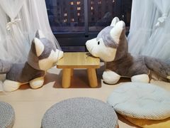 -Husky Go! 哈士奇体验馆·宠物咖啡厅狗咖