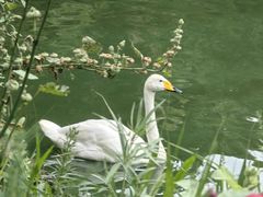 -沈阳森林动物园