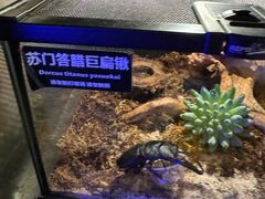 -太平洋海底世界