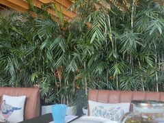 -新安人家·22年本地餐厅