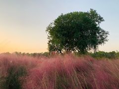 -艾溪湖湿地公园